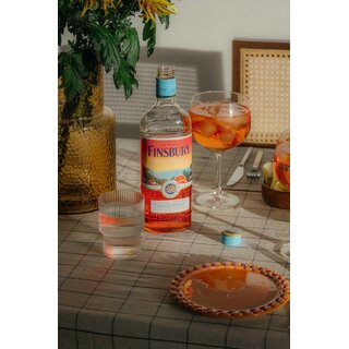 FINSBURY Blood Orange mit 20% vol. - Sommerlich leichter Genuss - Perfekt mit Tonic oder pur auf Eis als Aperitivo - 1 x 0,7l